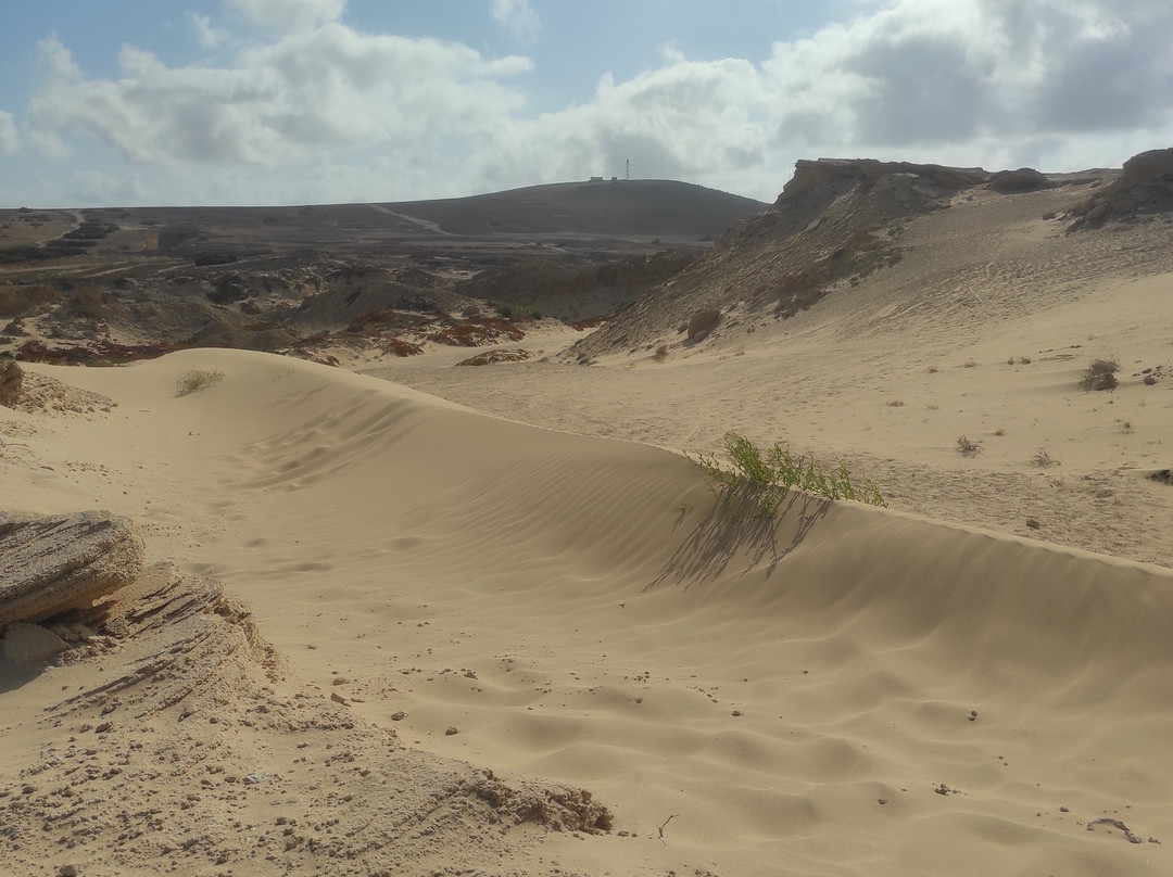 Porto Santo Buggy Adventure-Porto Santo Island必去景点