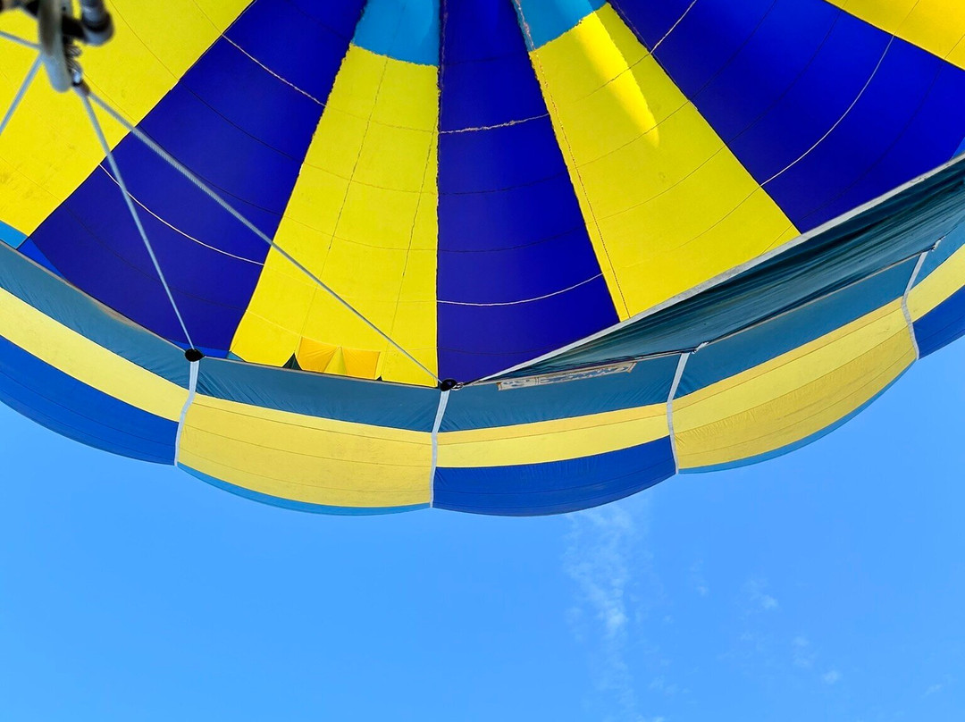 Beaune Montgolfiere景点图片
