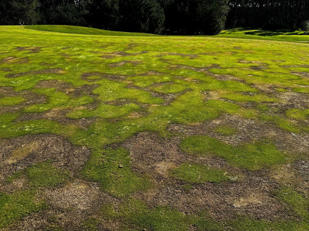 Eurovalley Golf Park Club Malacky景点图片
