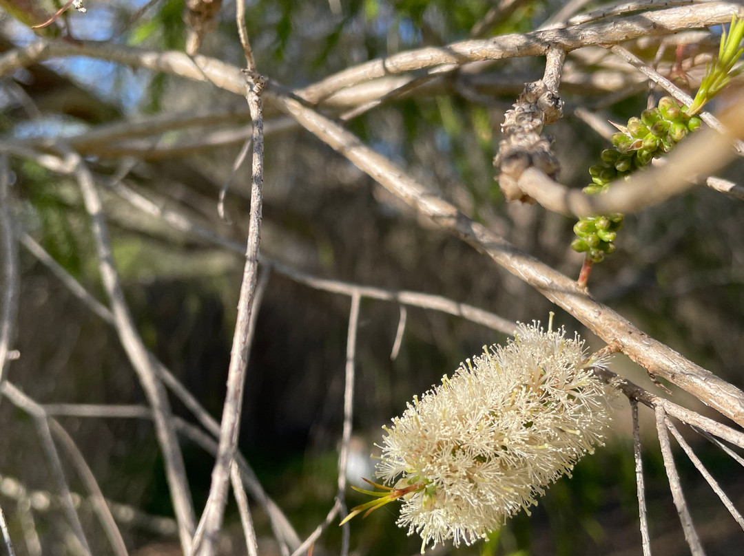 Wickham Court Playground-Heyfield必去景点
