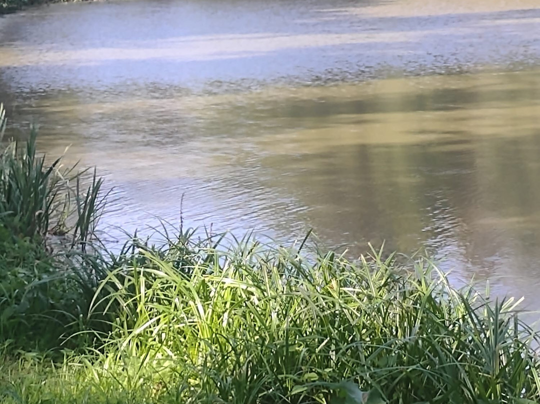 KNAUS Campingpark Hunfeld主图