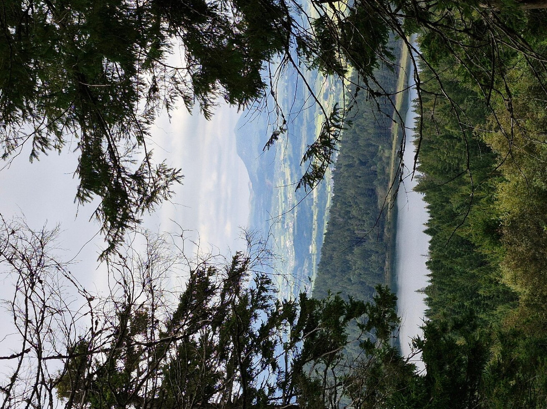 Lac de Servières景点图片