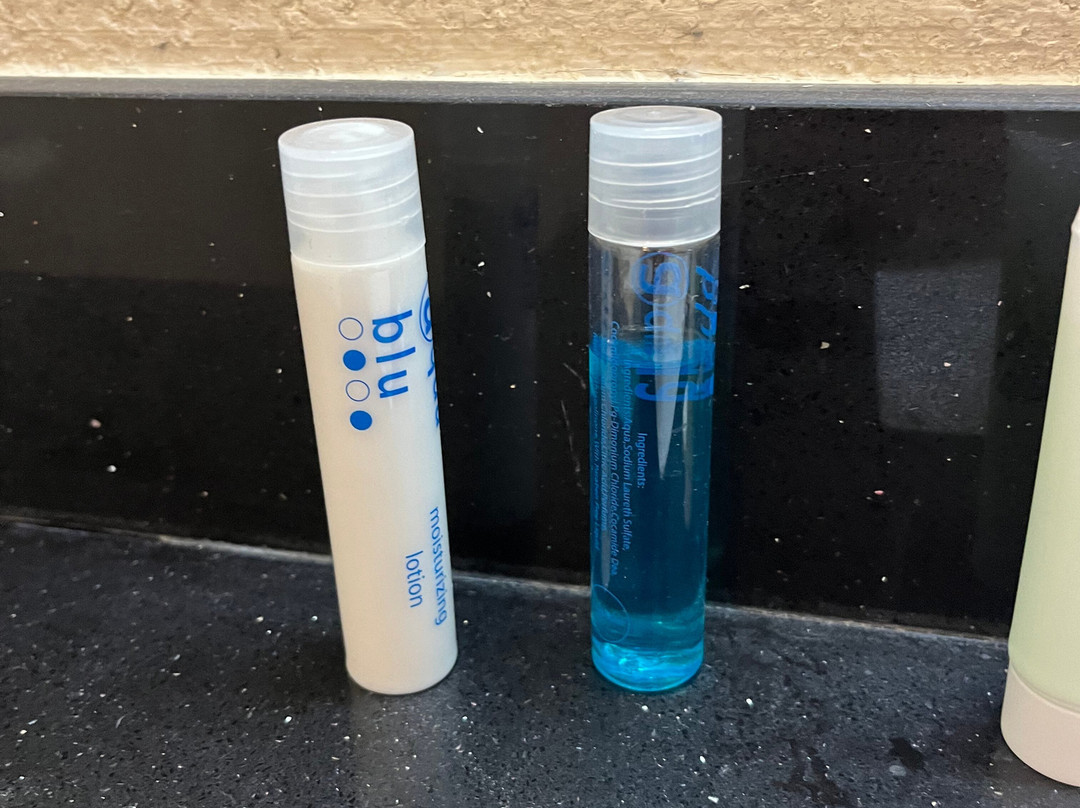 The Anchorage Inn - Rochester主图