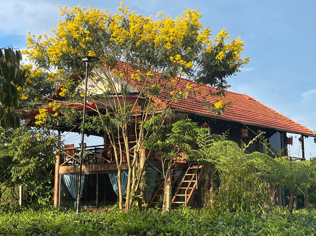Tea Garden House