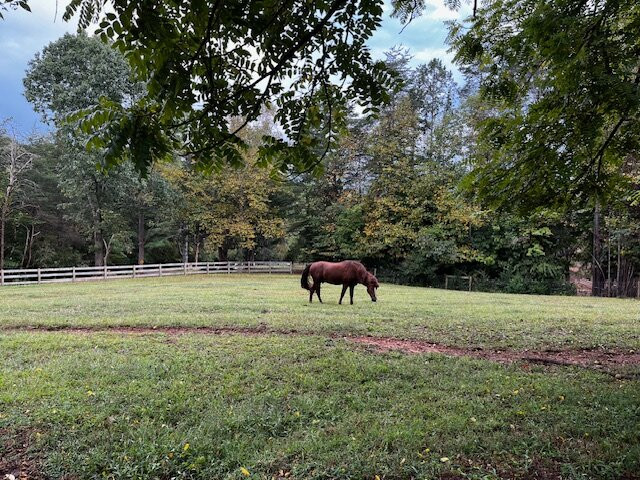 White Pig Bed and Breakfast主图