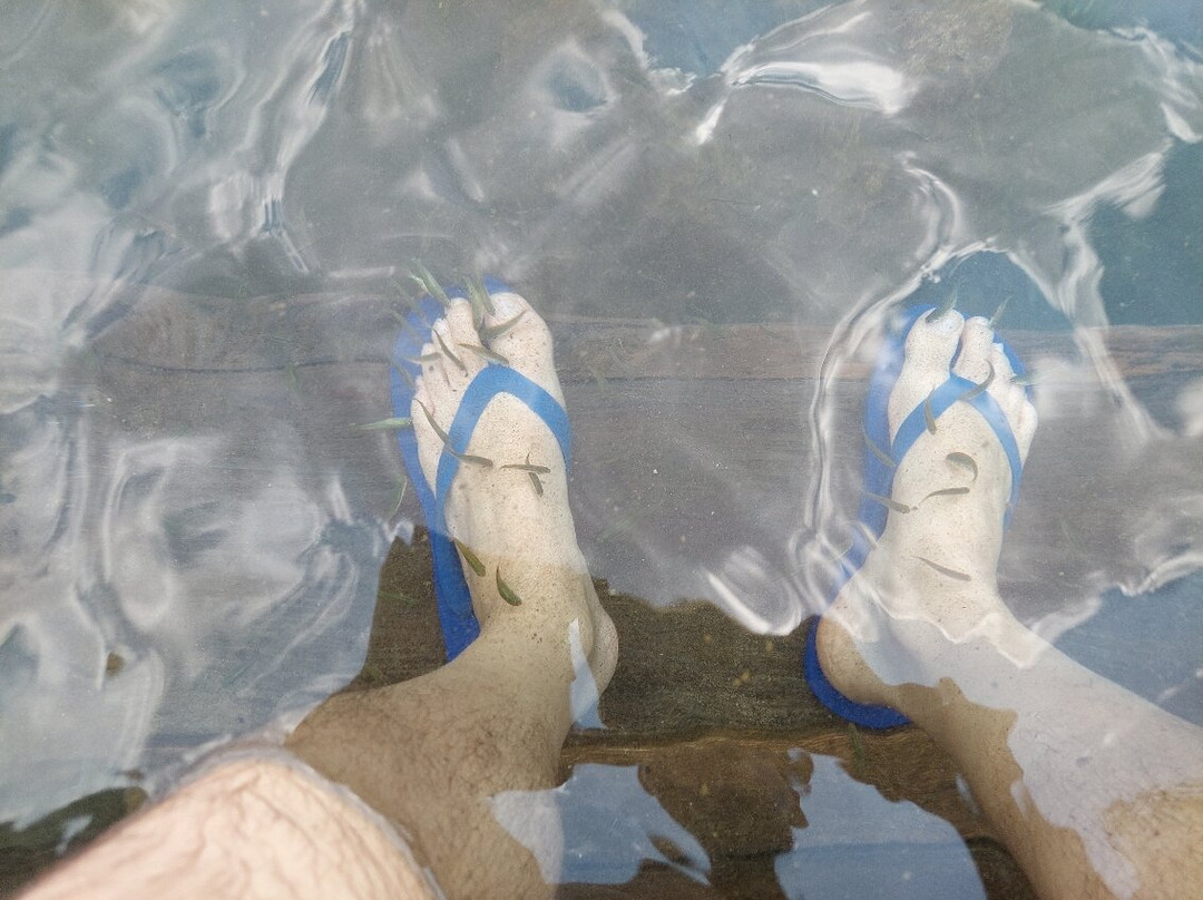 Jalapão VIP-Mateiros必去景点