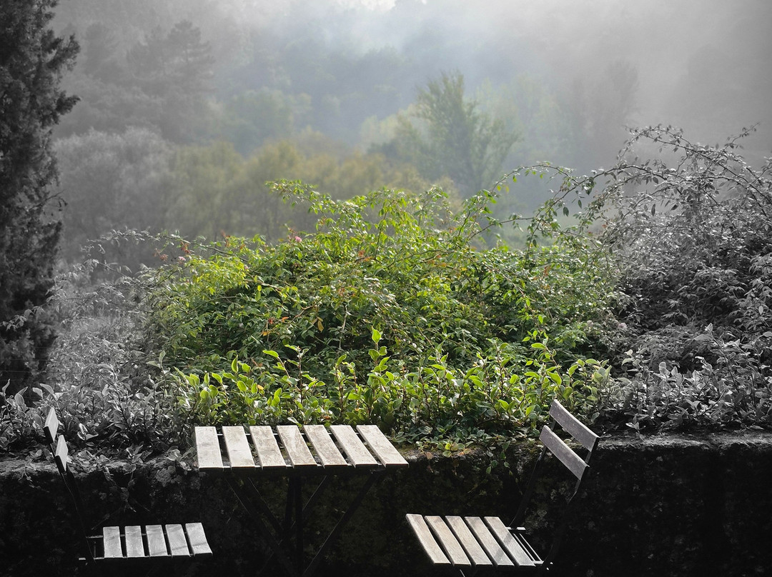 Quinta de Covela景点图片