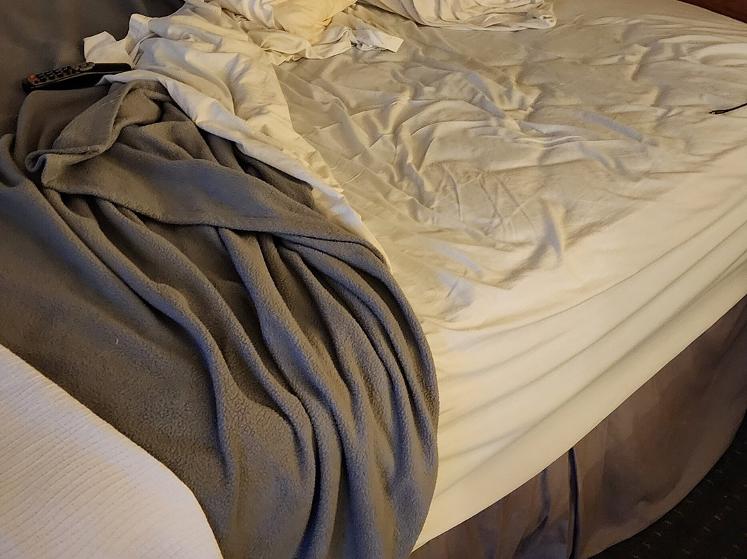 怀特河套房酒店主图