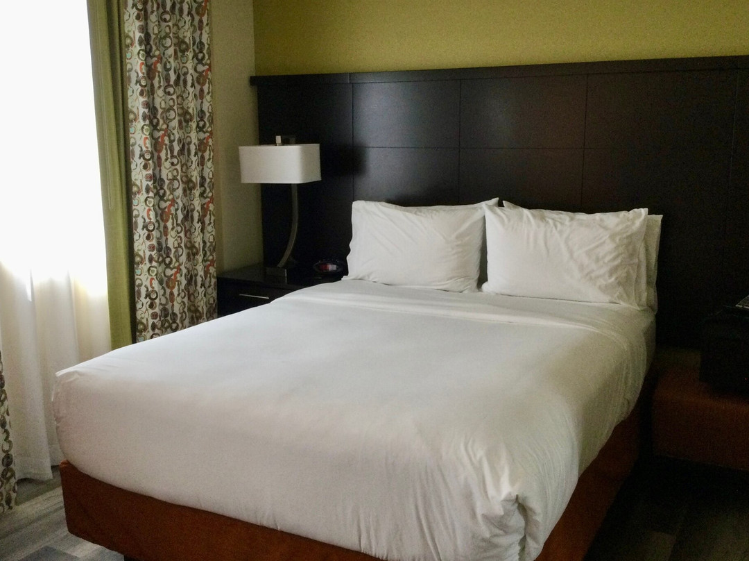 迈阿密机场北舒适套房酒店主图