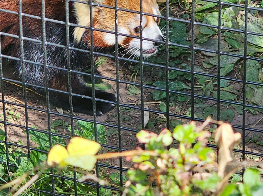 NEW Zoo & Adventure Park-格林贝必去景点