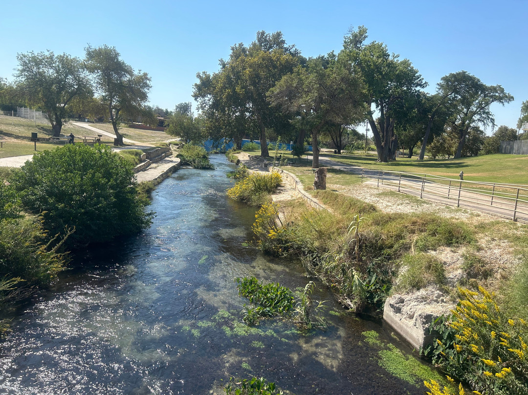 Moore Park Public Pool景点图片