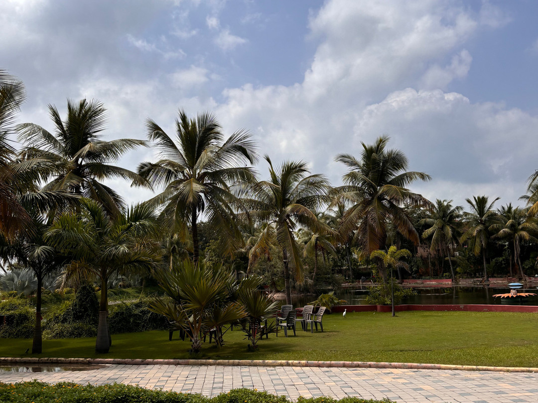 Palm Green Club主图