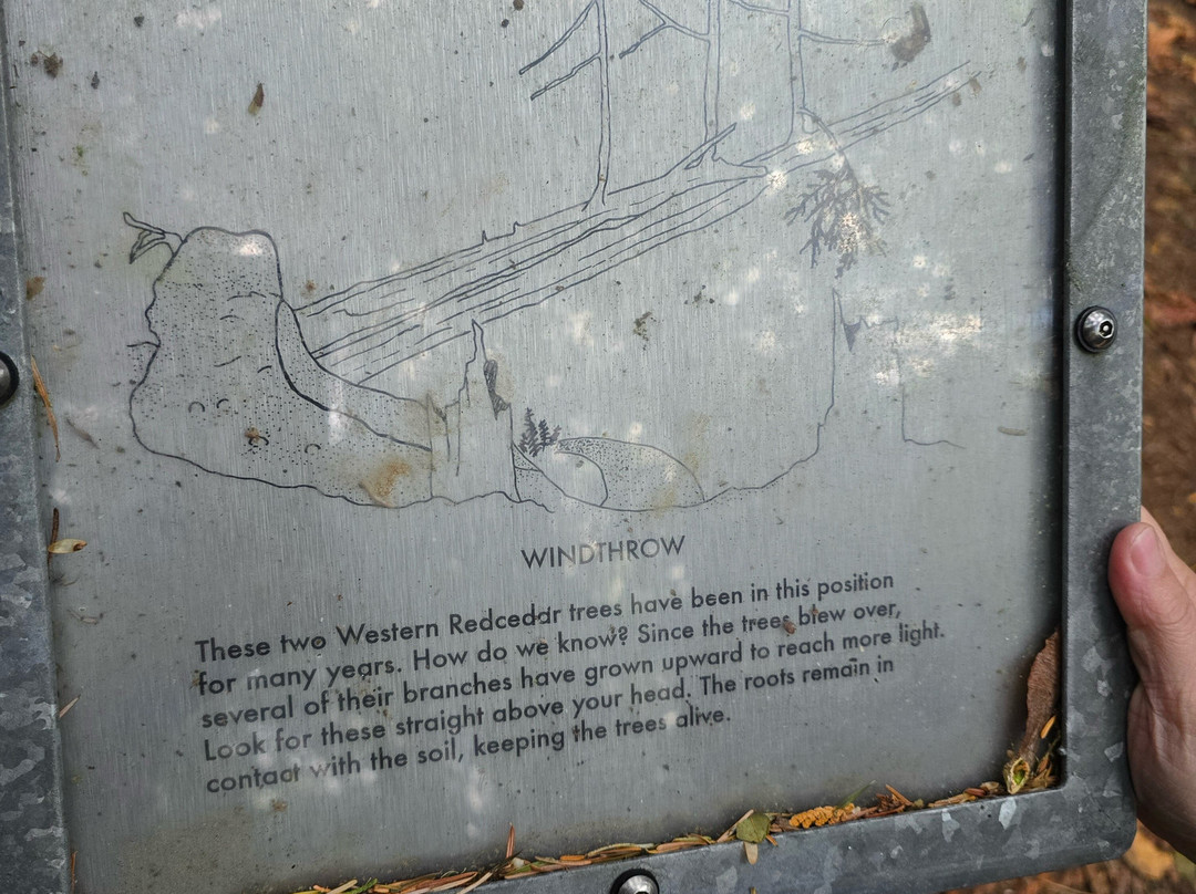 Ludlow Falls Interpretive Trail景点图片