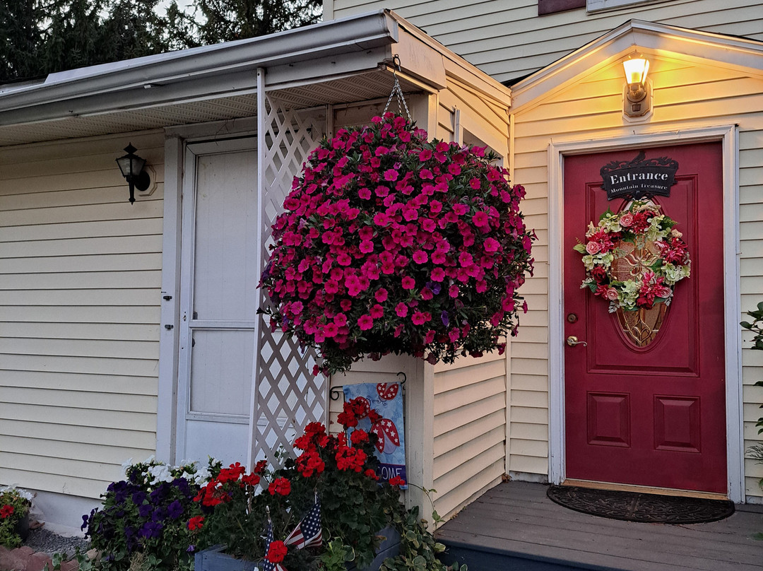 Mountain Treasure主图