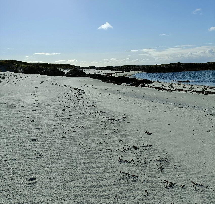 Aillebrack Green Coast Beach景点图片
