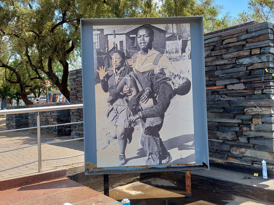 Authentic African Tours and Back Packers主图