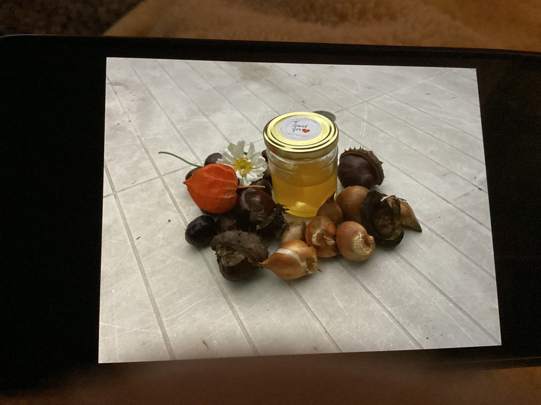 Niriides Luxury Studios主图