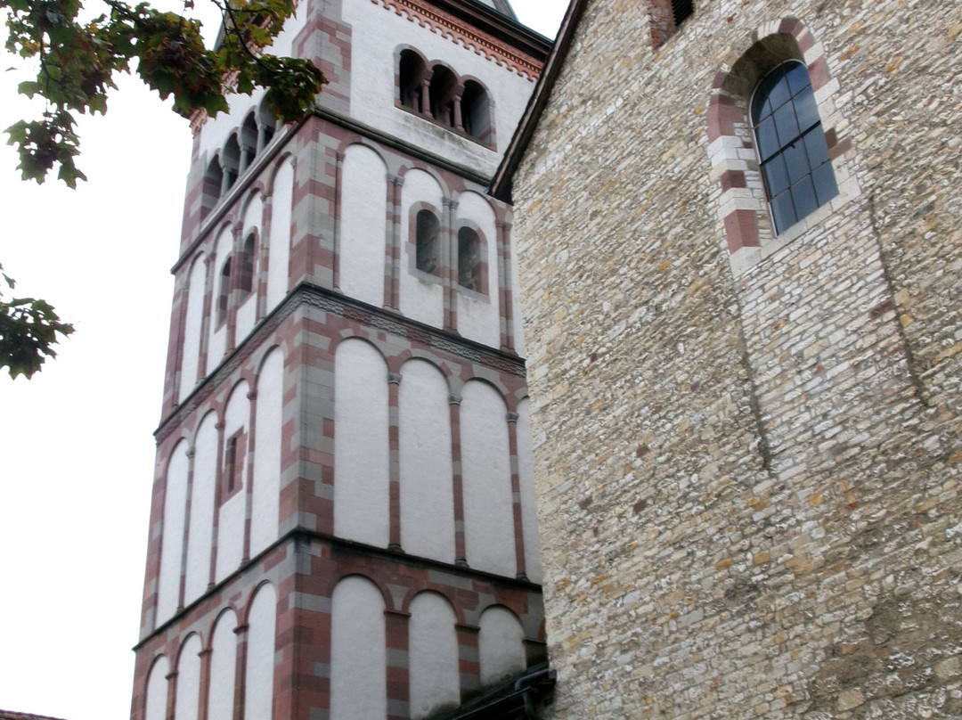 Münsterkirche-沙夫豪森必去景点