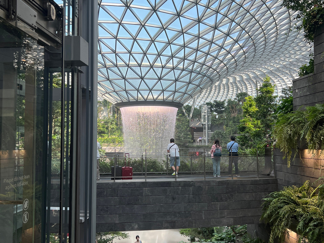 Changi Experience Studio-新加坡必去景点