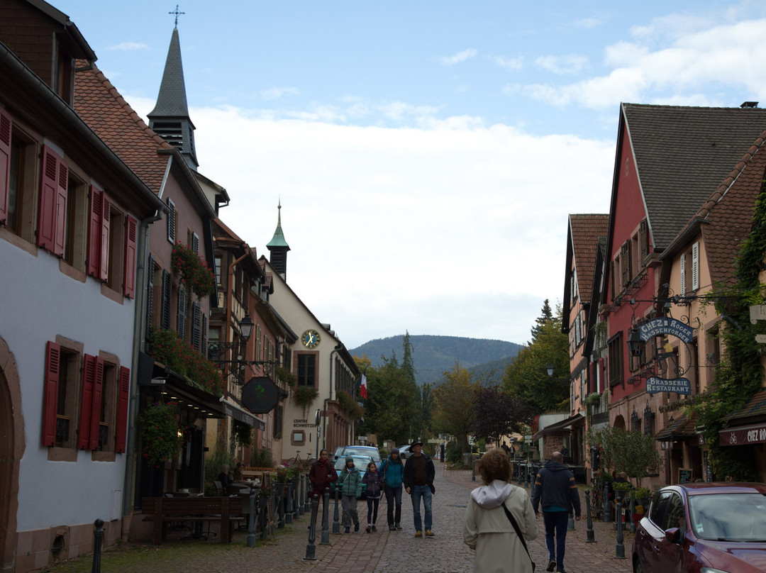 Vieille Ville de Turckheim景点图片