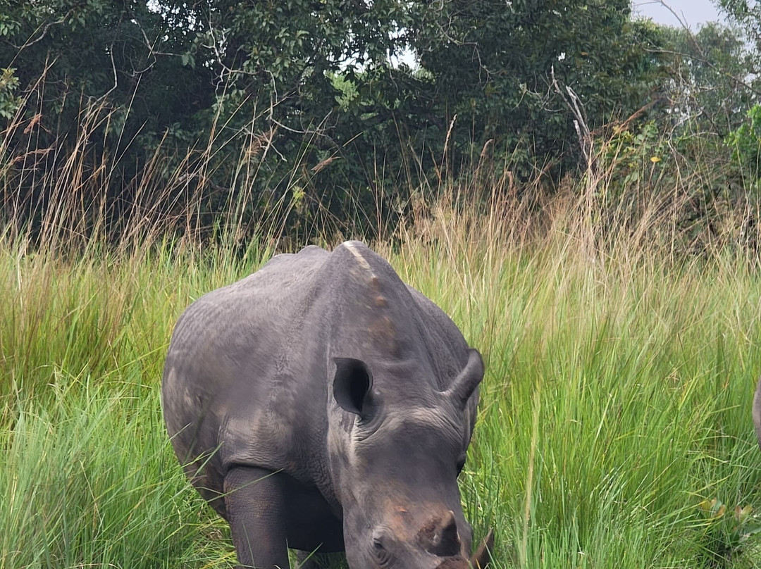 Bujo Safaris-Kasese必去景点