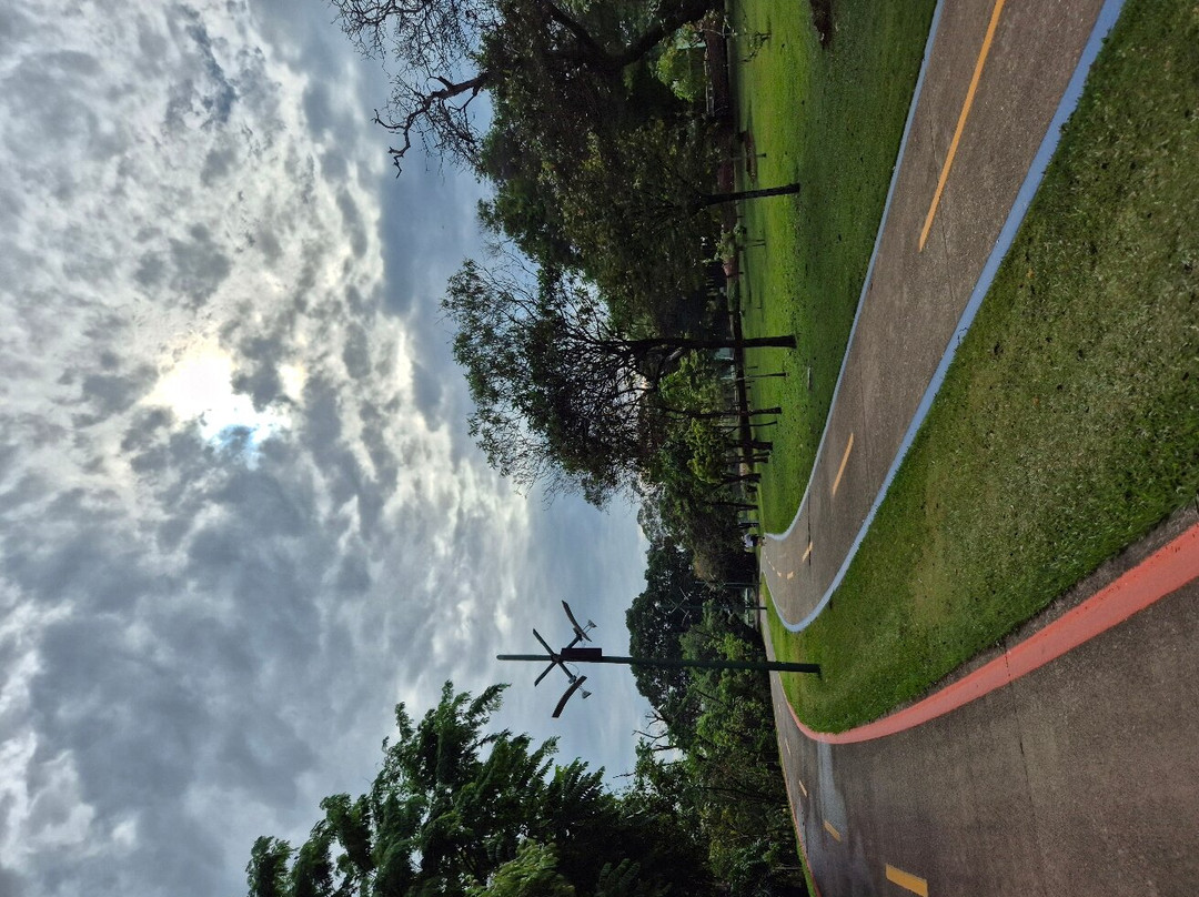 Parque Da Cidade-容迪亚伊必去景点