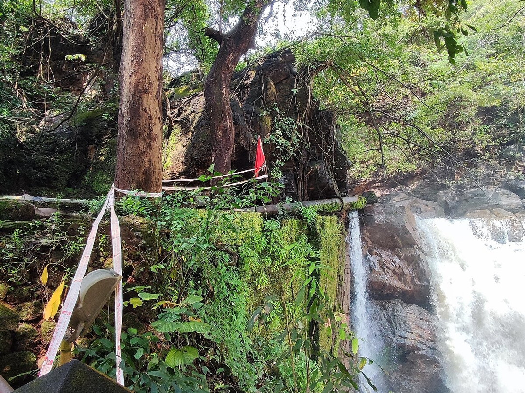 Arvalem Waterfalls景点图片