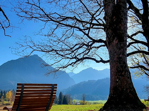 Himmelsritt Gleitschirm Tandemflüge-奥伯斯多夫必去景点