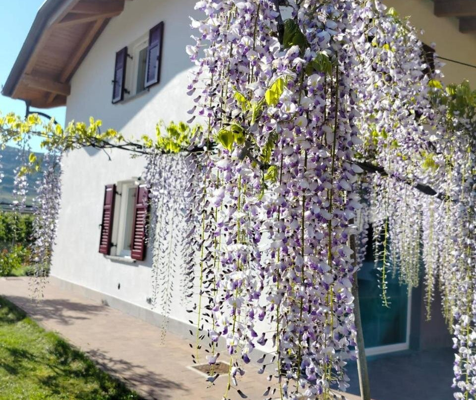 Agritur Lavanda