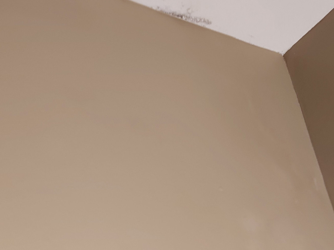 Comfort Inn & Suites主图