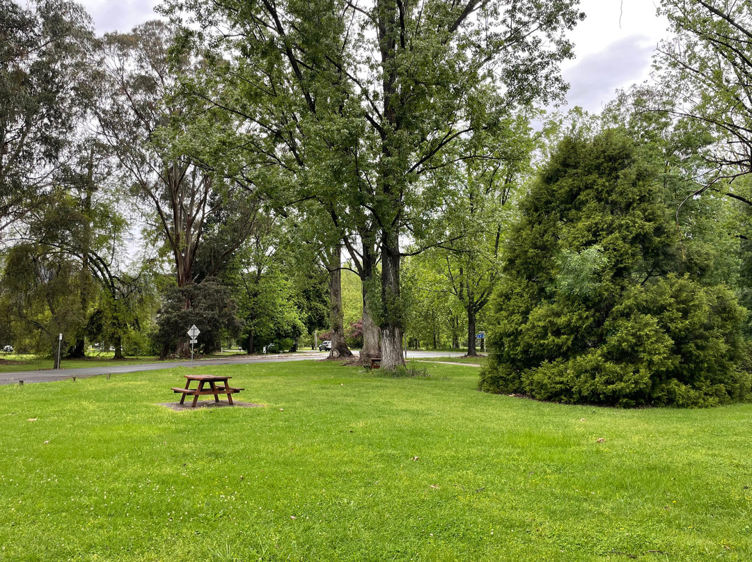 Mount Beauty Pondage-Mount Beauty必去景点