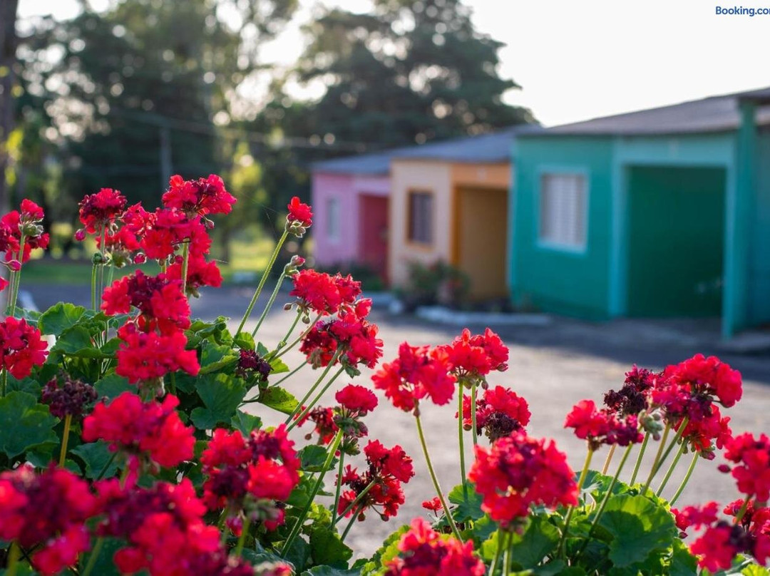 Sao Gabriel酒店住宿-La Campana