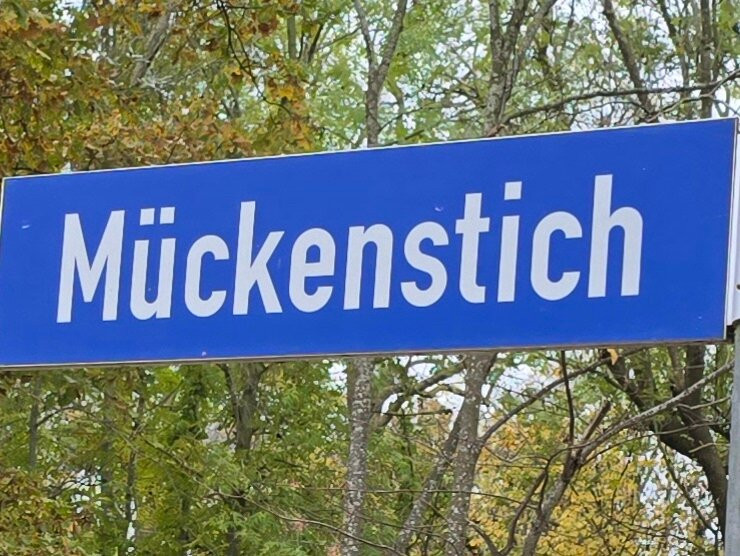 Der Fischlaender主图