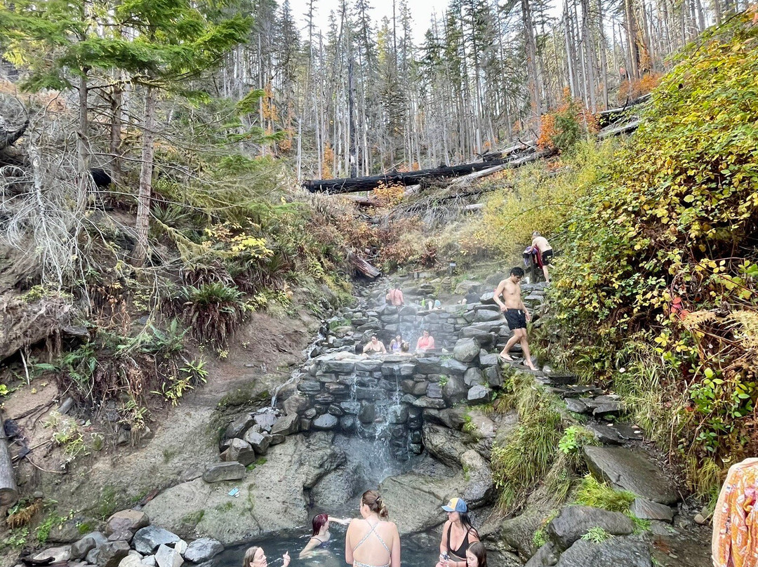 Terwilliger Hot Springs-Blue River必去景点