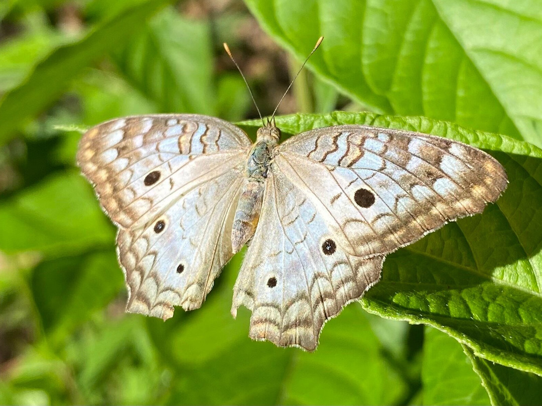 Oro y Luna Lodge主图