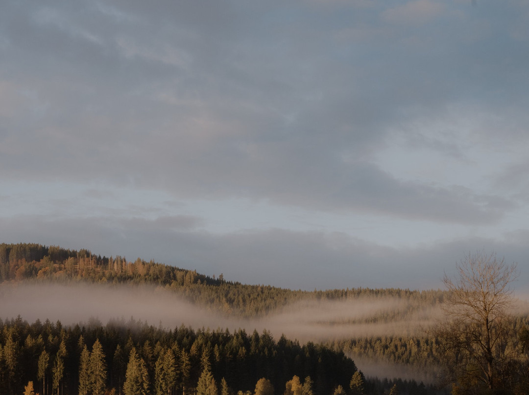 Hotel Auerhahn主图