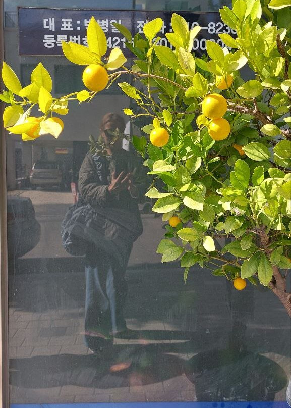 Jumunjin Beach-江陵市必去景点