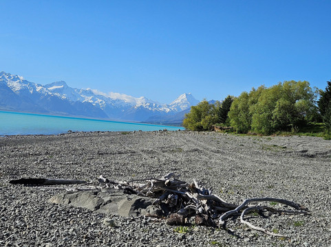 布雷马牧场主图