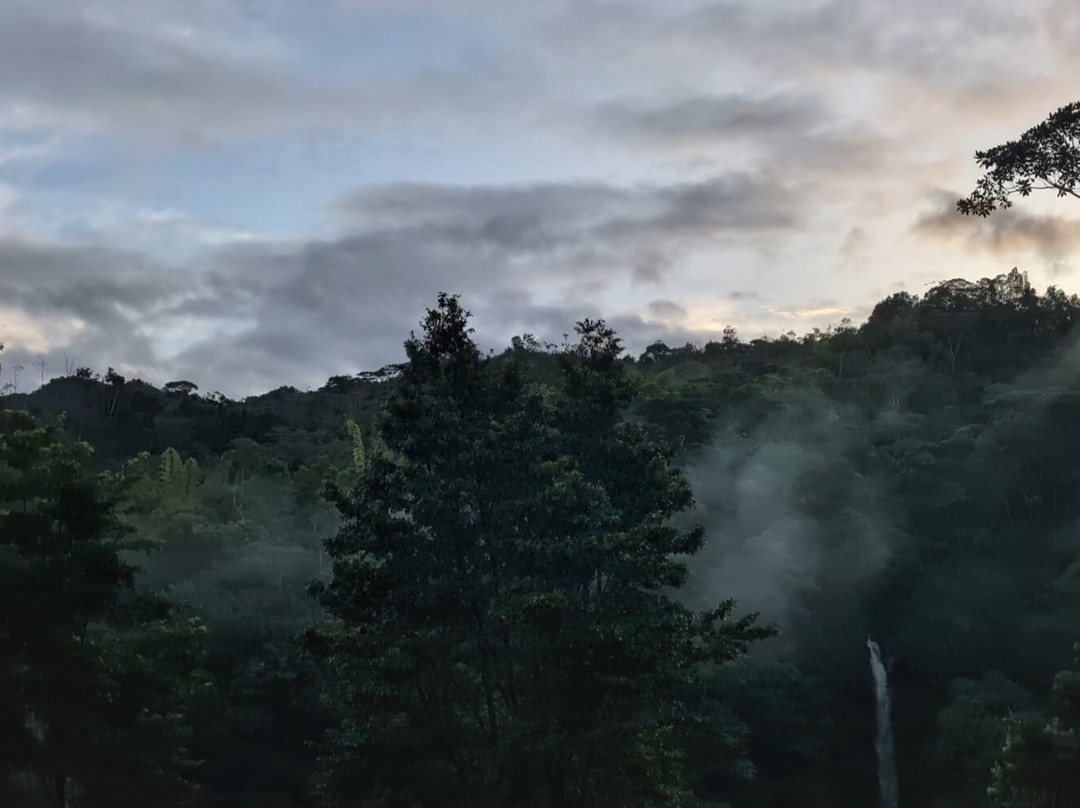 Villa Tavida Lodge & Spa主图