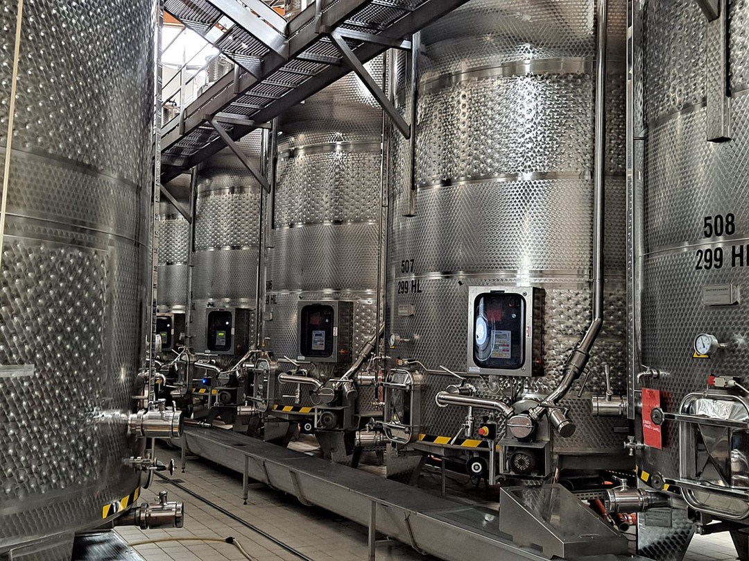 Cantina Sociale Di Avio景点图片
