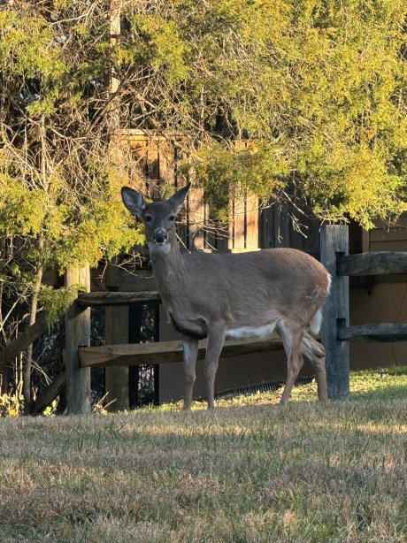 秋日岭小屋酒店-官方