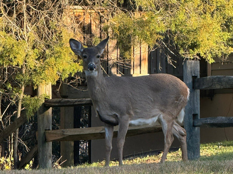 秋日岭小屋酒店主图