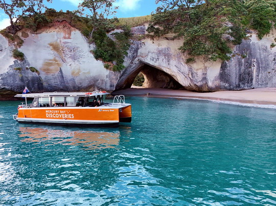 Mercury Bay Discoveries - Cathedral Cove & Coastal Tour-菲蒂昂格必去景点