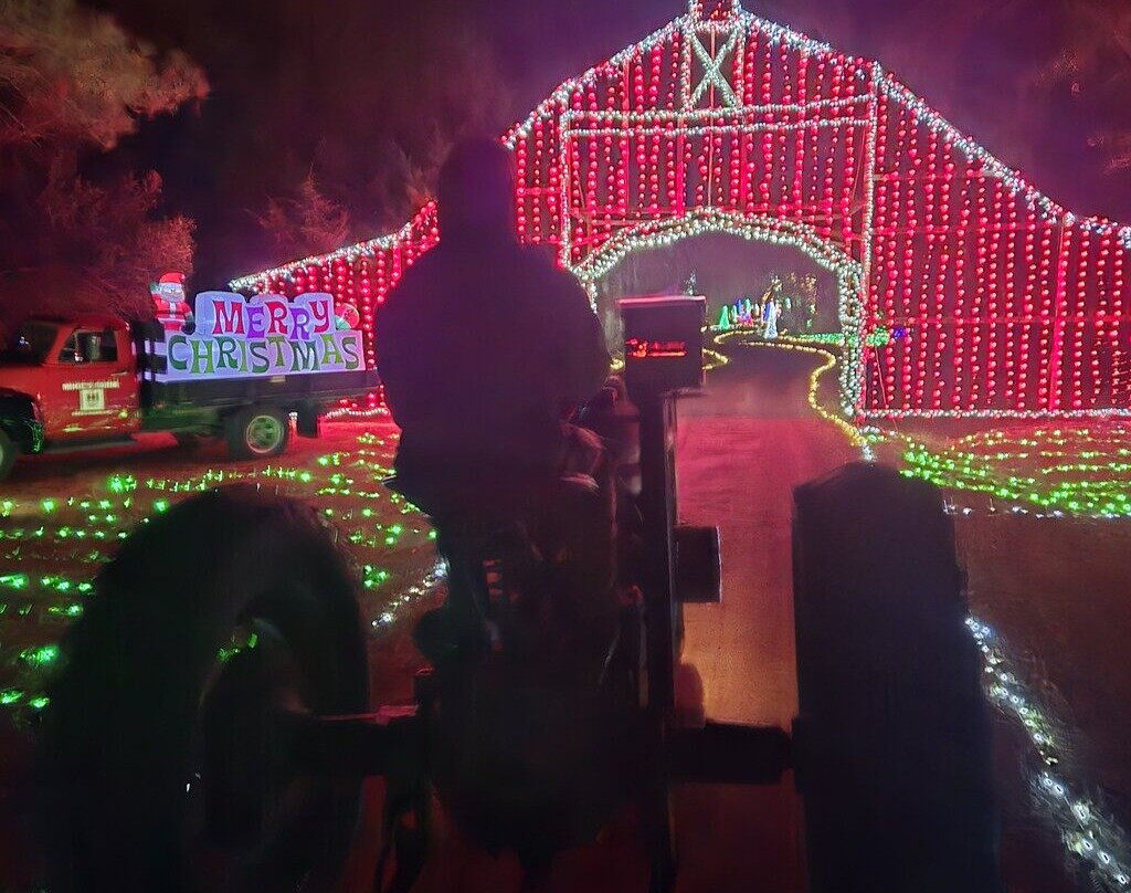 The White House On Freedom Way主图