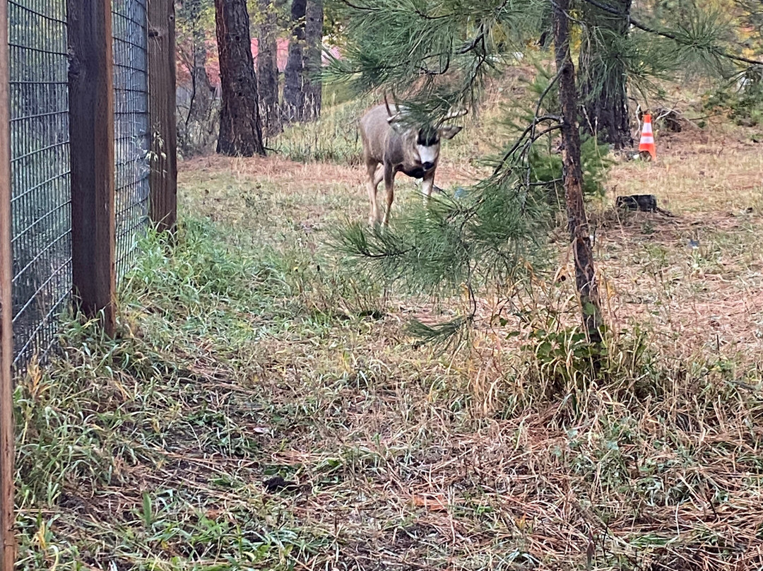 Sleeping Lady Mountain Resort主图