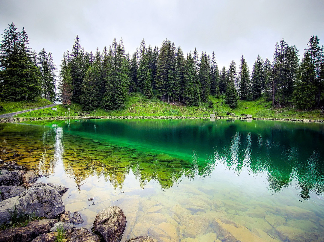 Adelboden Ski Resort-阿德尔博登必去景点
