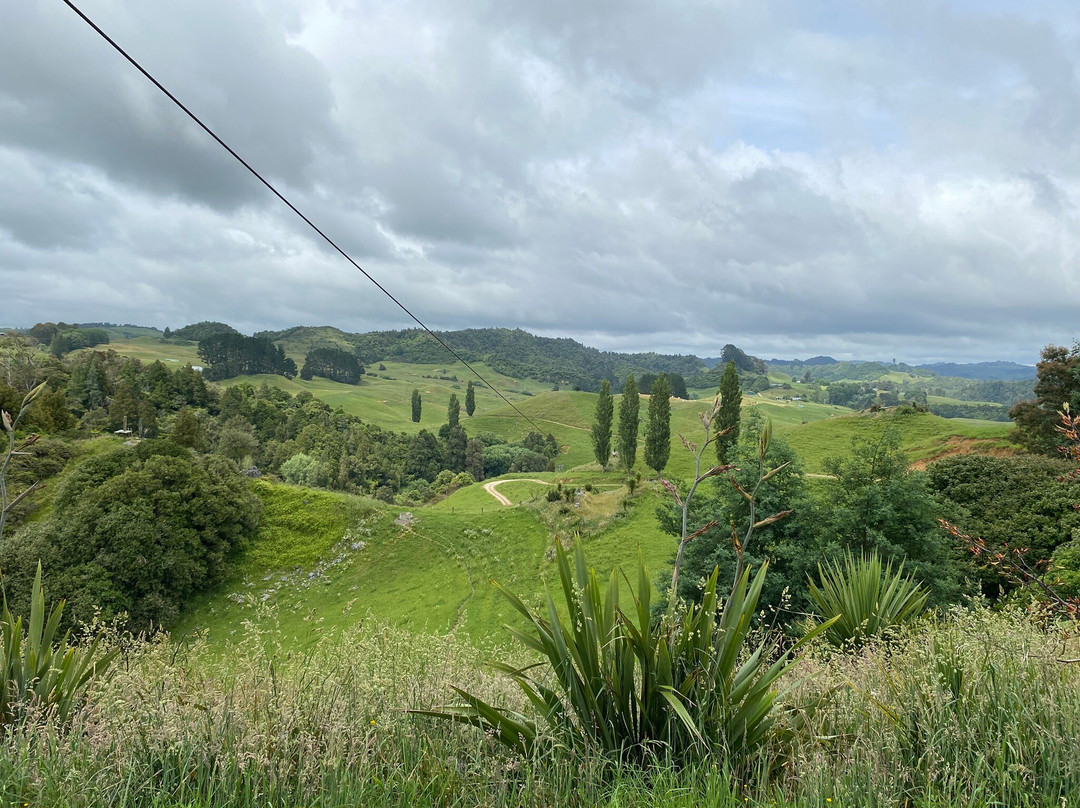 Waitomo Caves Ziplines景点图片