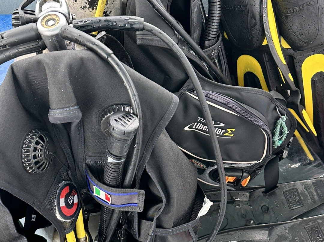 G Fish Watersports-布里奇顿必去景点