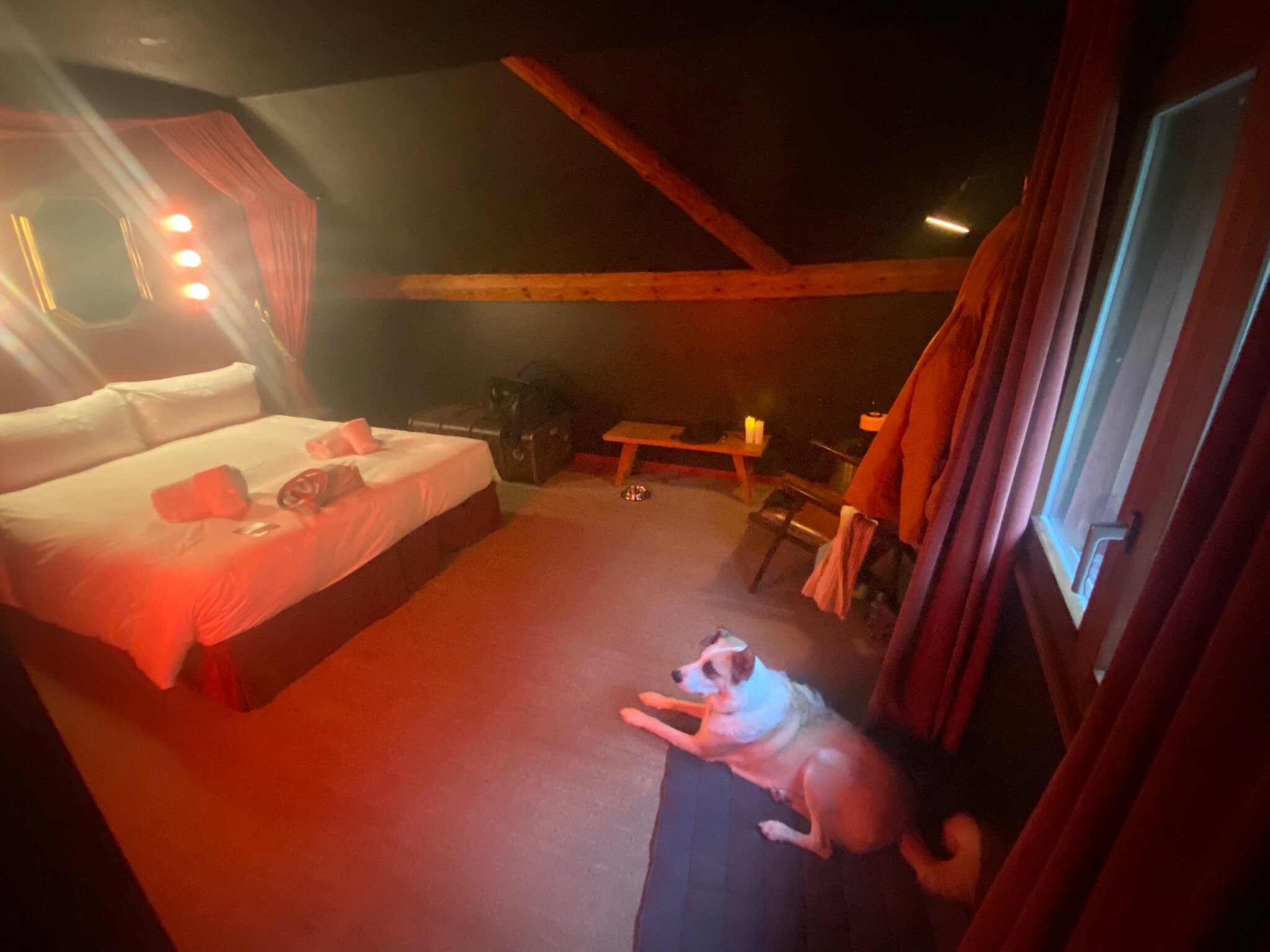 Peanut Medieval Lodge-官方