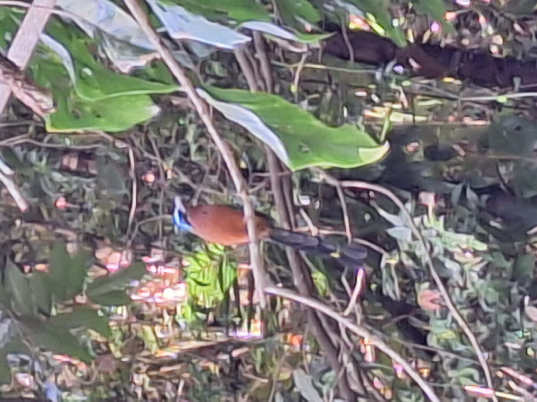 NG & Company Nature Tours-Speyside必去景点